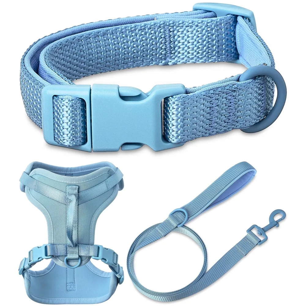 Blue Padded Neoprene Dog Walking Kit, Small Adjustable Collar + Harness with 6 Feet Walking Leash for Small Breed Dogs
