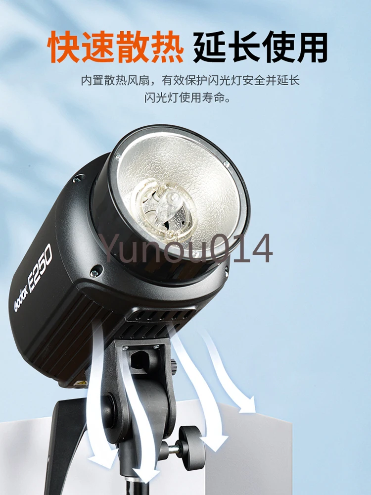 Professional Indoor Photography Studio Light, E250 Photography Flash, Second Generation, ID Photo Lighting, SK400ii, 250W