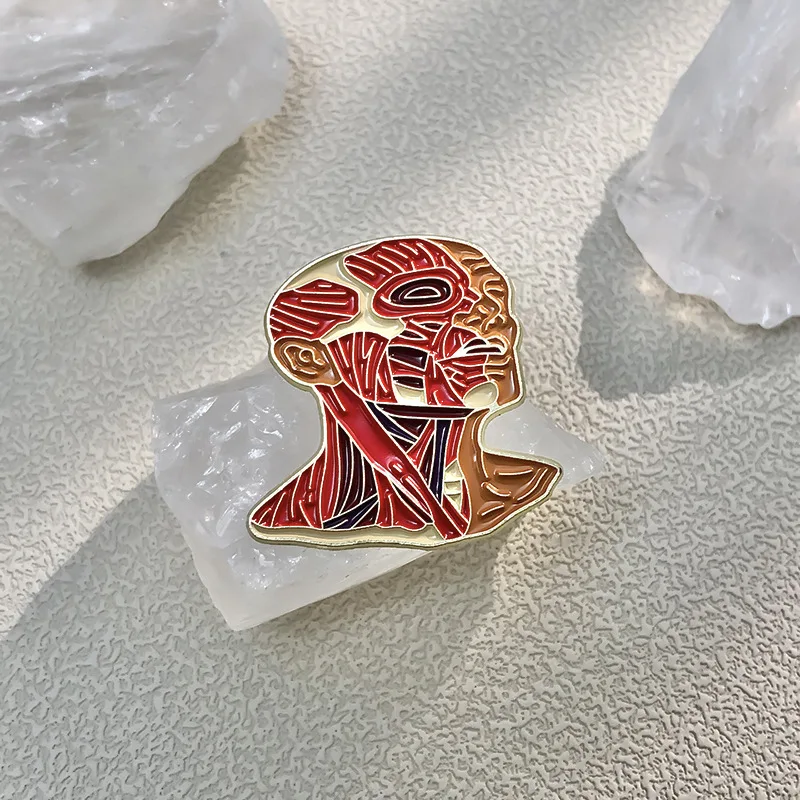 창의적인 해골 근육 장 내부 이미지 브로치 핀 귀여운 꽃과 장기 에나멜 브로치 코사지 금속 합금 장신구 액세서리