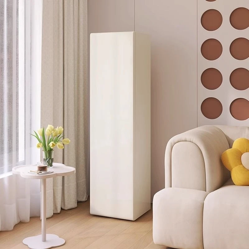 

Refrigerator type, snack storage cabinet, locker, removable