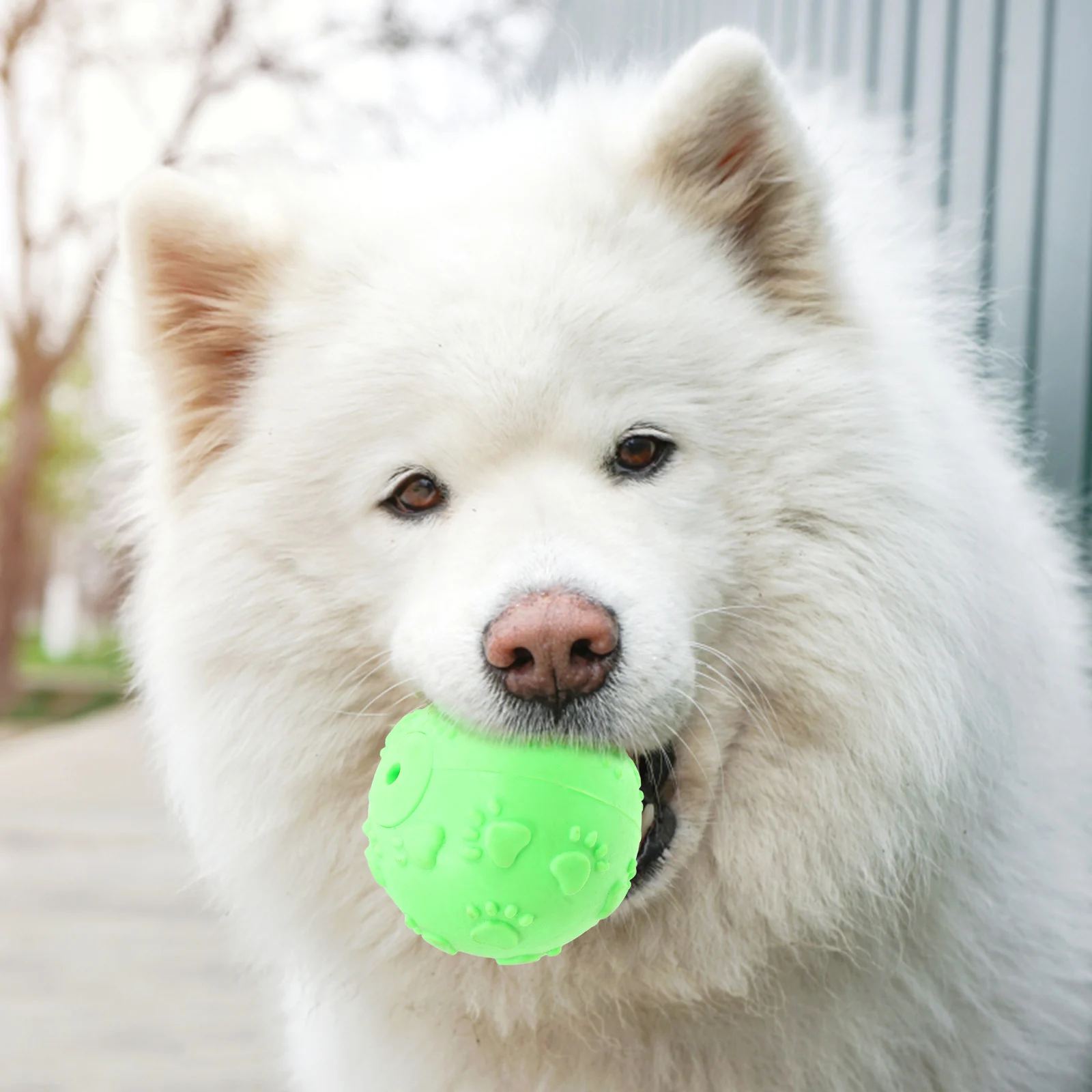 

Rubber ball Rubber footprint ball Pet rubber ball Molar rubber ball Teeth footprint toy
