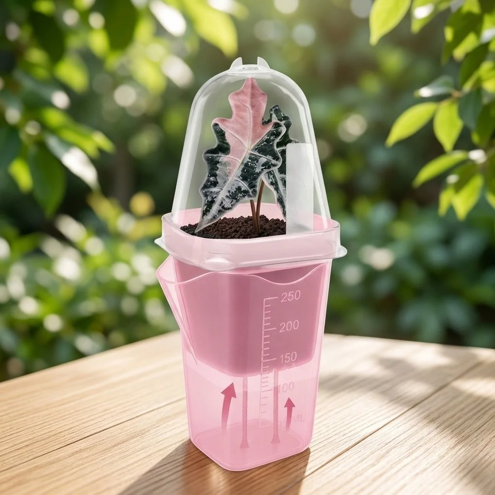 Pink Self Watering Pot With Humidity Dome Clear ABS Plastic Box For Indoor For Succulent Propagation For Starter Cup Garden Tool