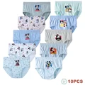 10 Pcs-OPP Pack