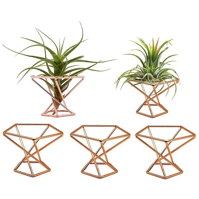 PZHI-Pack 10 Air Plant Holder Air Plants Holders Tillandsias Display Air Purifying Plant Container Air Fern Stand, Rose Gold