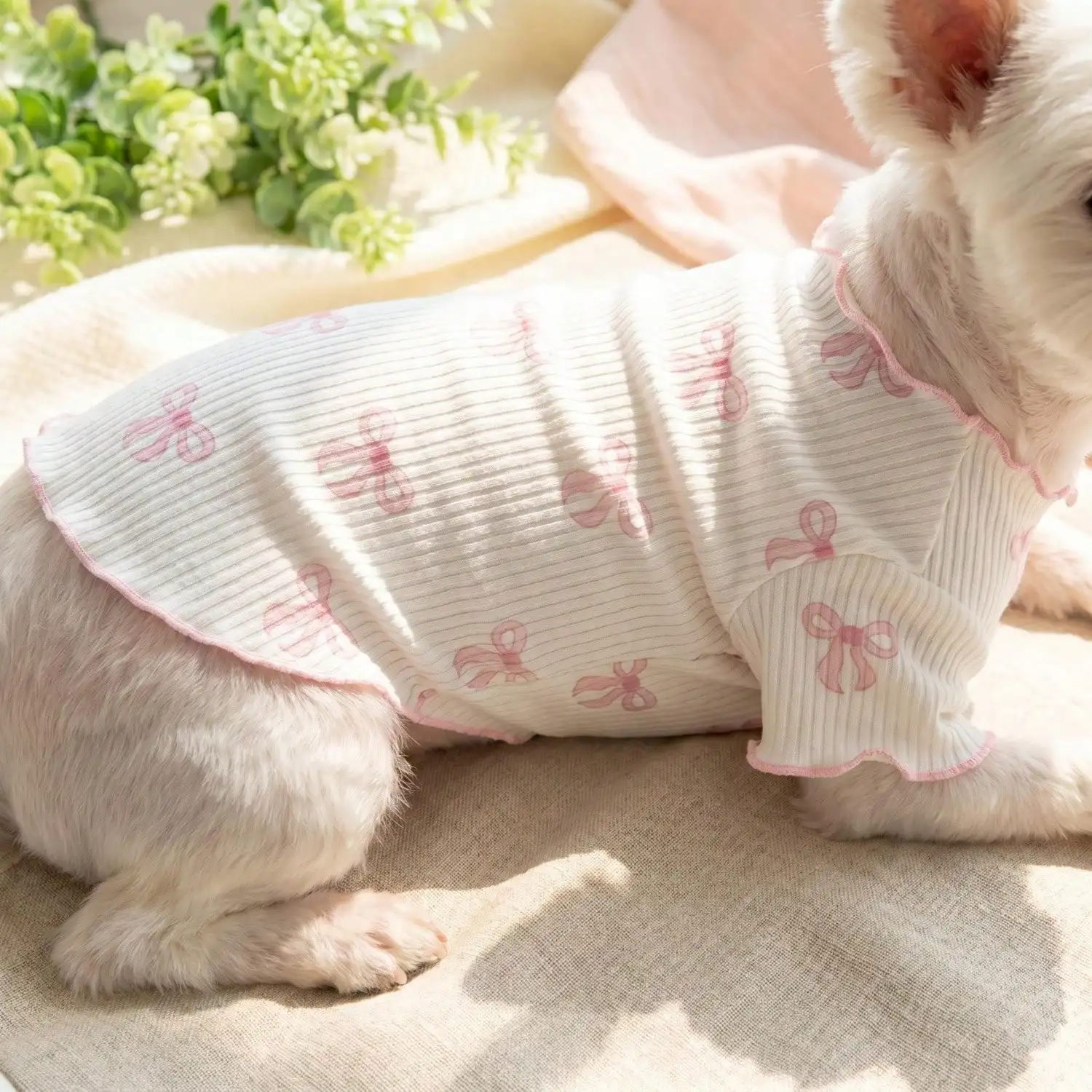 Geripptes Haustier-T-Shirt mit Herz- und Schleifendruck und Rüschenbesatz für kleine Hunde und Katzen – Detail 3