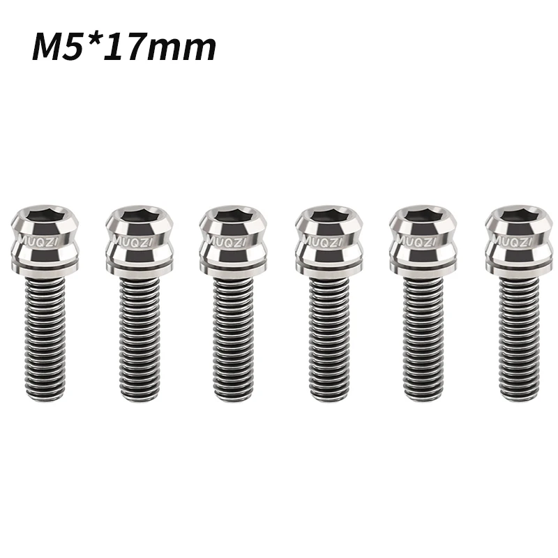 Variant: M5X17MM Silver