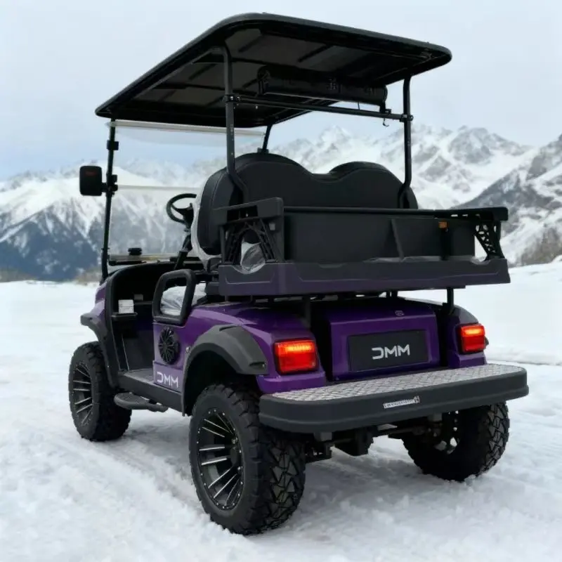عربة جولف 4WD مقعد 2/4/6/8 مستديرة بالكامل 8. عربة جولف متعددة الأغراض مع محرك رباعي ومحرك فردي بقدرة 5000 وات