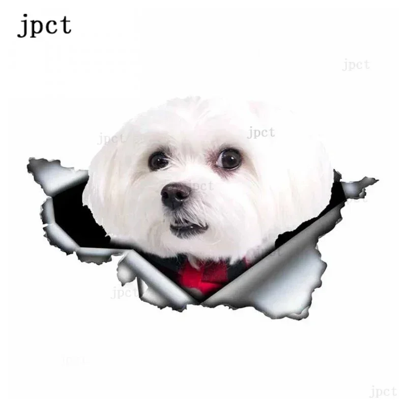 

Jpzs cute pet dog design car, bumper, rear window, laptop waterproof sunscreen sticker, 17cm、30cm PVC material，，，