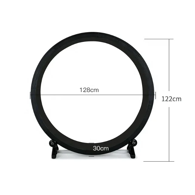 Newest Design High Quality Silence Sustainable and Stable Indoor Cat Exercise Wheel for Fitness Weight Loss Device