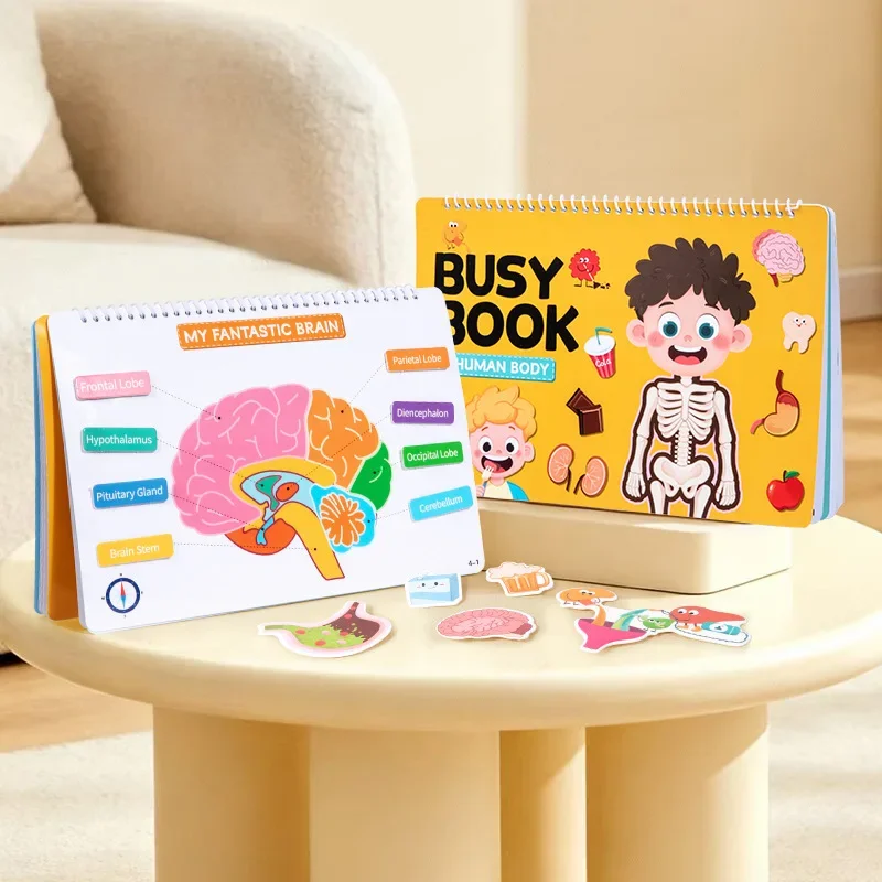 Libro occupato Montessori: libro di attività per l'apprendimento del corpo umano per bambini in età prescolare - Tear & Paste, Flip & Explore Libro silenzioso per l'orecchio dei bambini