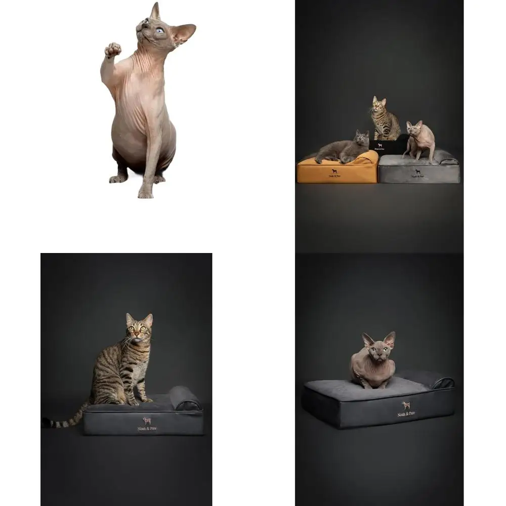 

Ортопедическая кровать для собак и кошек из гелевой пены с эффектом памяти, 20x15x6,5, водонепроницаемая и моющаяся, с чехлом из искусственной кожи