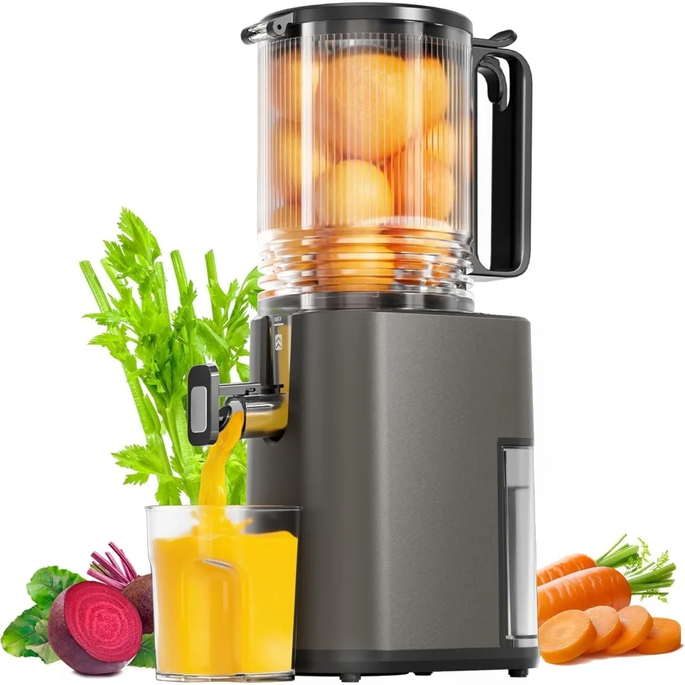 

5.5inch Wide Feed Chute Juicer Machine, Slow Masticating Juicer for Whole Vegetables & Fruits, Gray