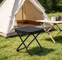 Portable Foldable Camping Stool Compact Lightweight Foldable Handheld Seat Outdoor Fishing Picnic Hiking Beach Travel Fold Up Ch 4