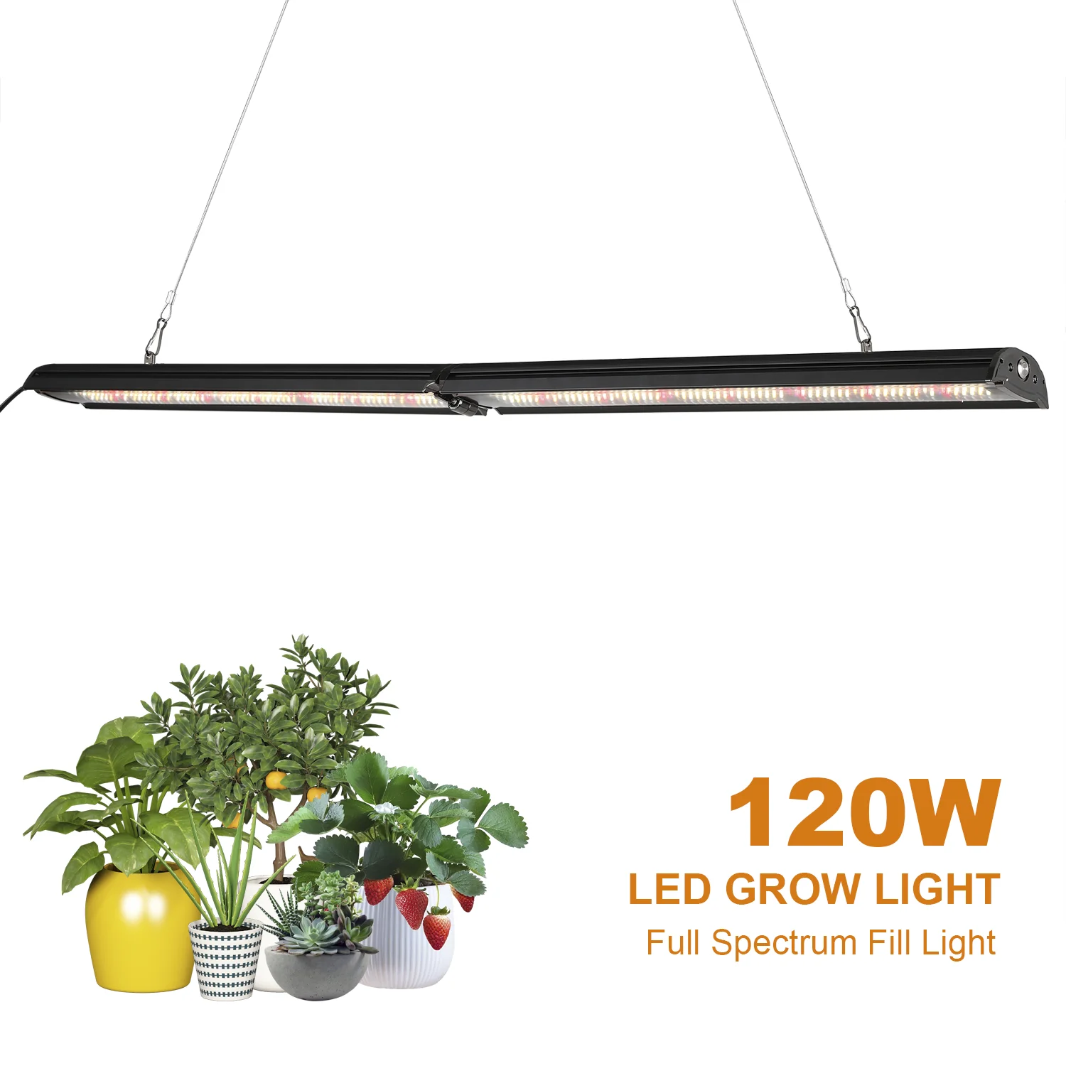 Lámpara LED Quantum de 120 W p - Led Grow Light reseña y precio
