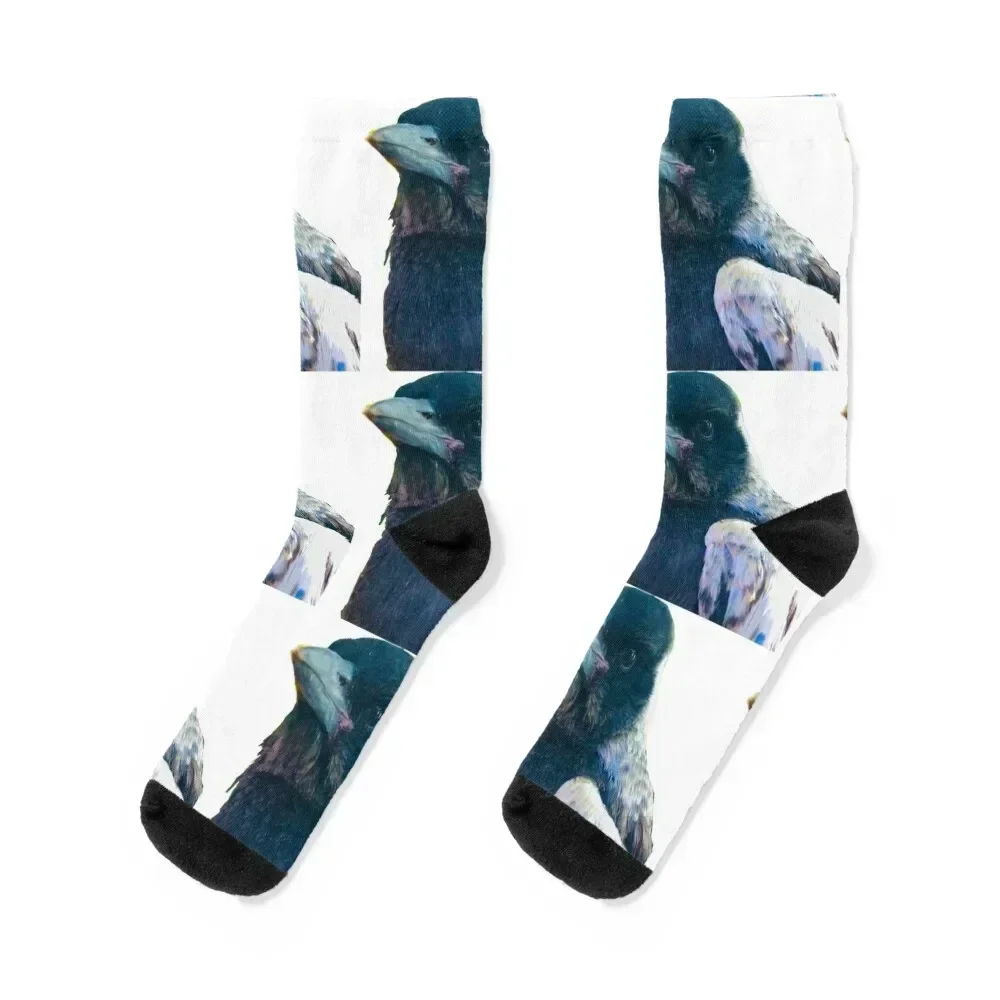 

Bub! Rescued Australian Juvenile Magpie. Socks Stockings man hockey aesthetic luxury Socks Female Men's