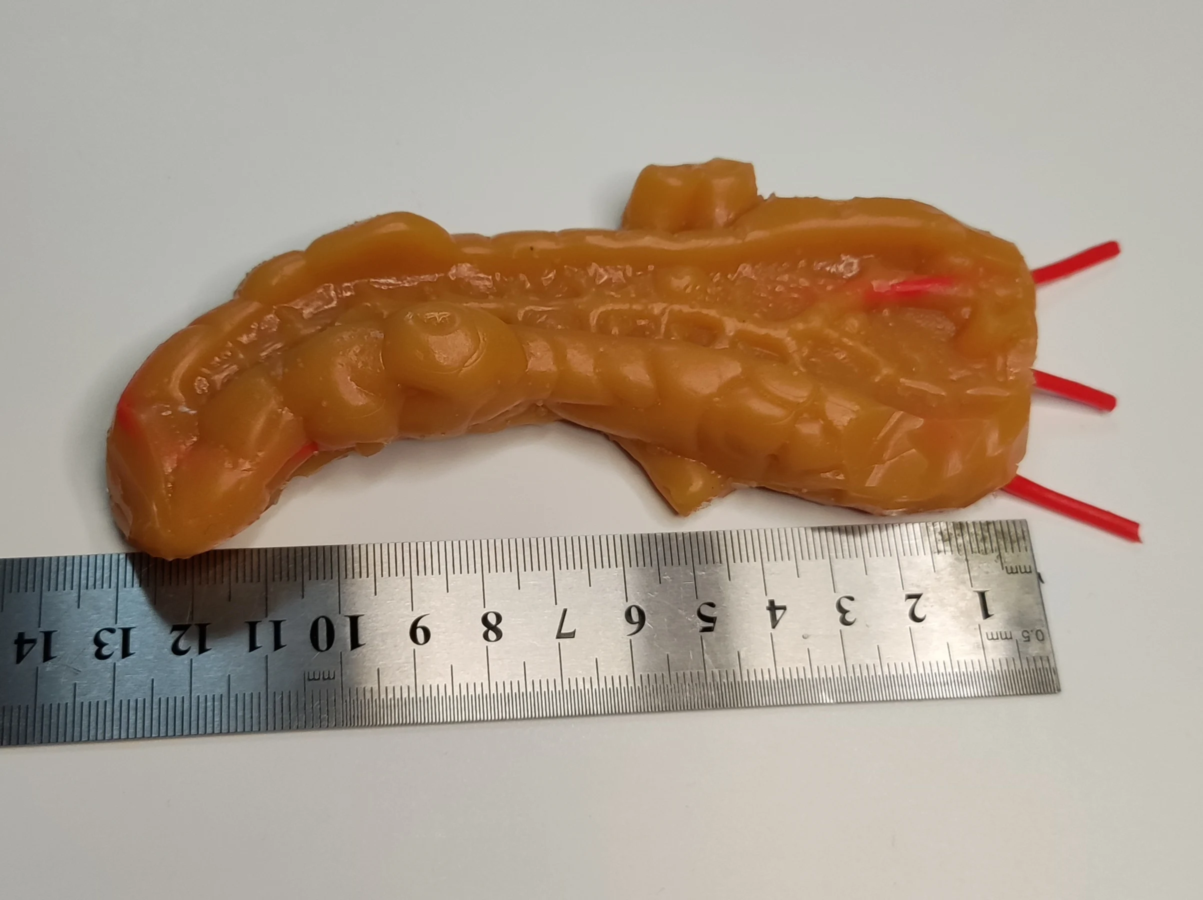 

Pancreaticoenterostomy Laparoscopic Simulation Training Practice Suture Shear Model