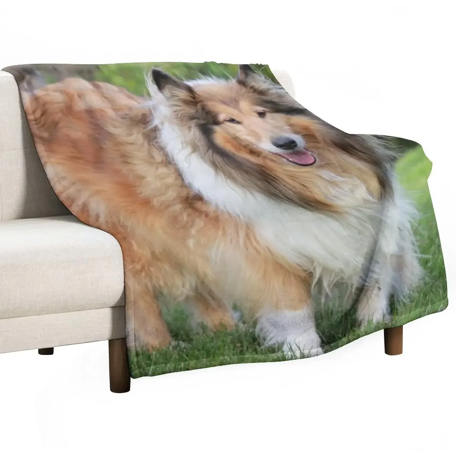 Sable Rough Collie Throw Blanket Decorative Sofa Decoratives Blankets