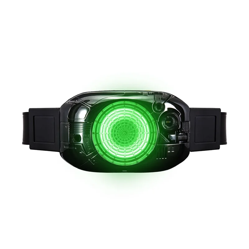 BANDAI Genuine DX Kamen Rider BLACK SUN Regal Stone Transformation Drive Belt