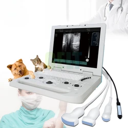 Animals Full Digital Laptop Ultrasound 15-inch Screen Ultrasonic Scanner Machine Veterinary Ultrasound Portable for Pets