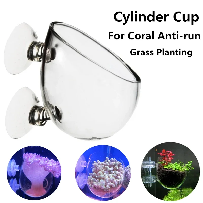 Glass Aquarium Coral Container Sea Anemone Anti-Run Cup Fish Tank Water Plant Bonsai Cylinder Pot for Coral Plant Decoration