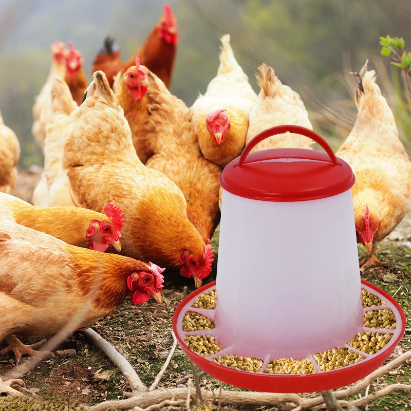 2 قطعة سعة كبيرة الدواجن التلقائي شارب الدجاج المغذية برميل دلو للماء السمان شرب مزرعة حظيرة الدجاج إمدادات المياه