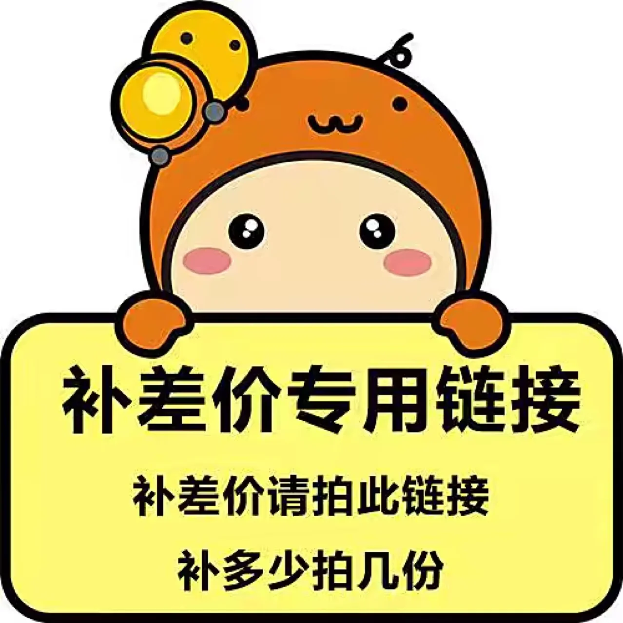 Goods Reissue/Price Difference/Shipment Freight/Additional Charges Please Pay Here