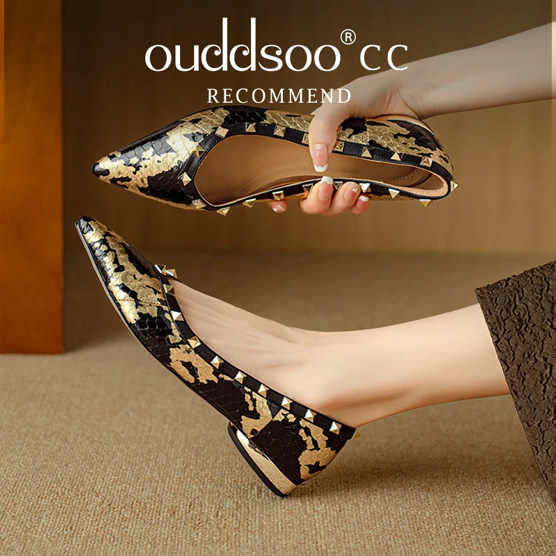 Ods Vintage Metal Clasp Pointed  Pumps Women Fashion 2025 Spring Autumn New Shoes for Women Leopard Print  Low Heels Woman Shoes