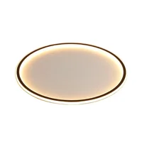Nordic Minimalist LED Ceiling Light For Bedroom Living Room Aisle Study Room Balcony Circular Remote Control Lighting Chandelier 6