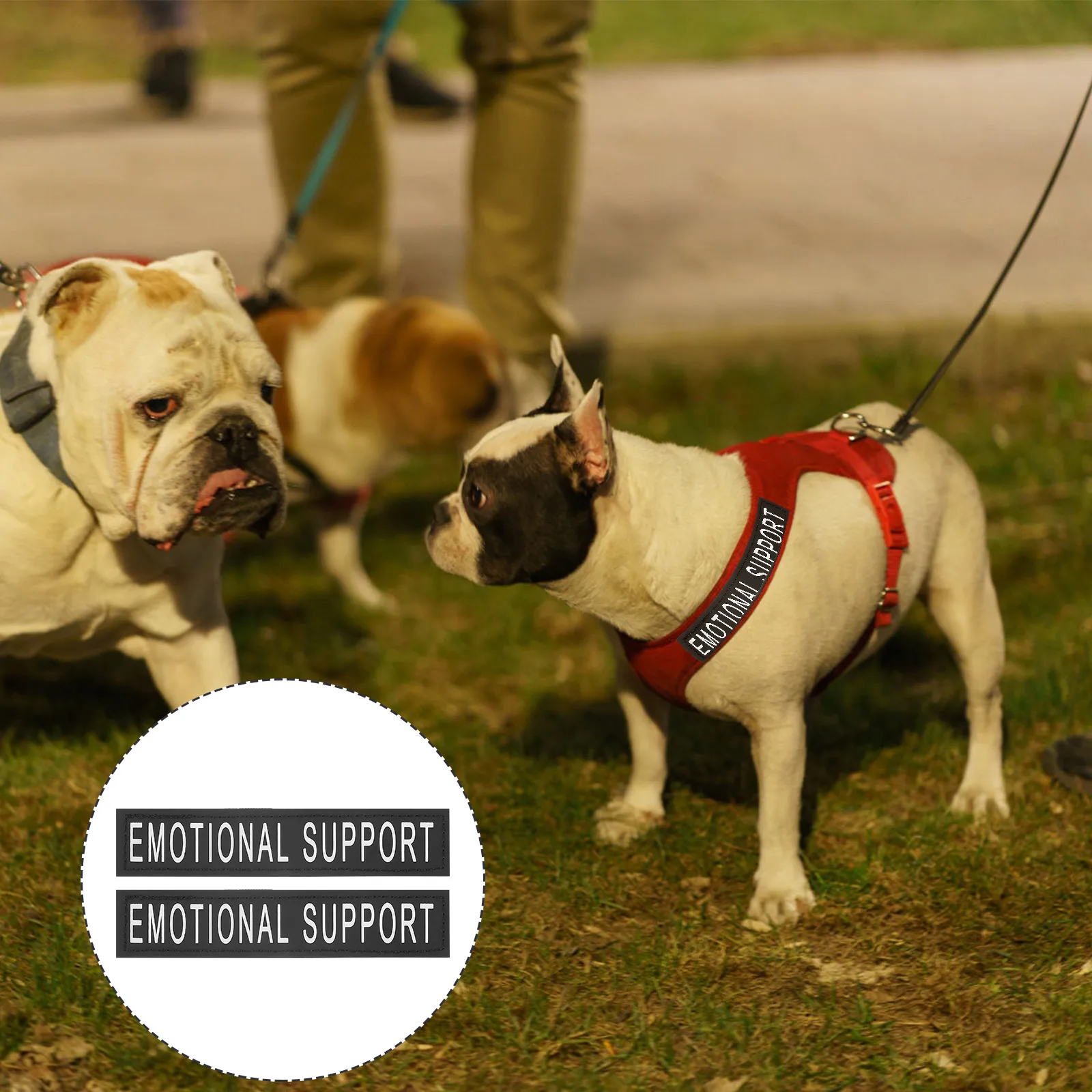 

2 Pairs Pet Harness Stickers Self adhesive Reflective Dog Vest Patches Black Chest Strap Lightweight Portable Pet Supplies