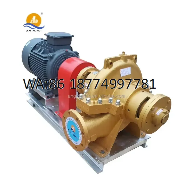 custom Heavy Duty High Capacity Centrifugal Split Case Water Pump Double Suction with Copper Bronze Impeller for Industrial