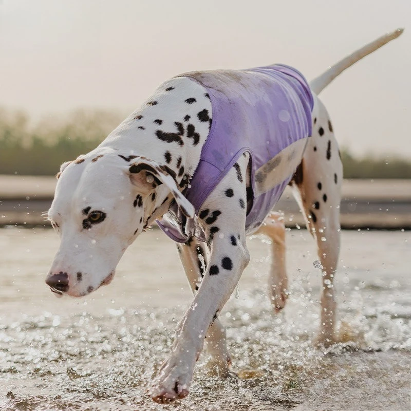

Dog summer sunscreen breathable mesh vest small dog cool clothes thin air conditioner clothes summer