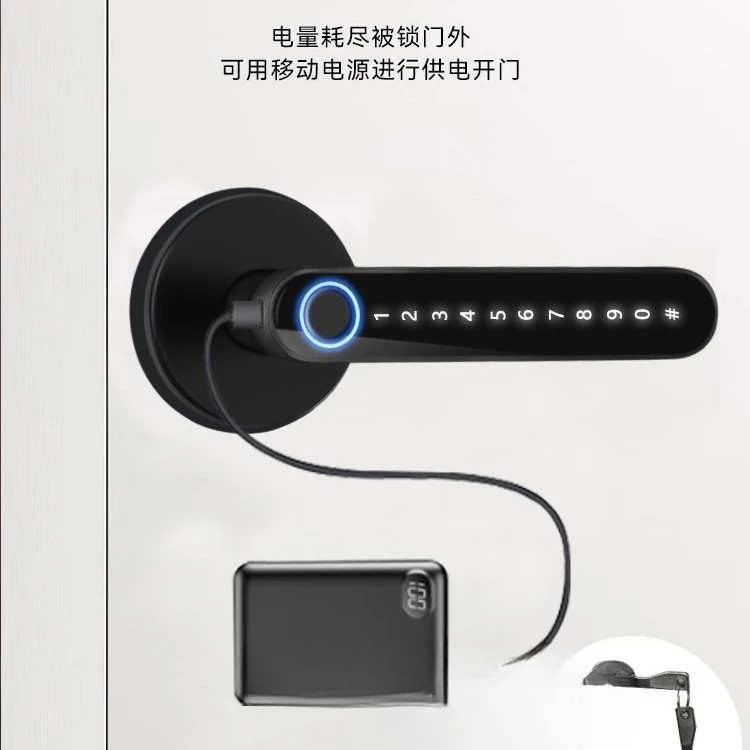 Electronic intelligent entry door lock Anti-theft door Indoor wooden door Fingerprint password lock