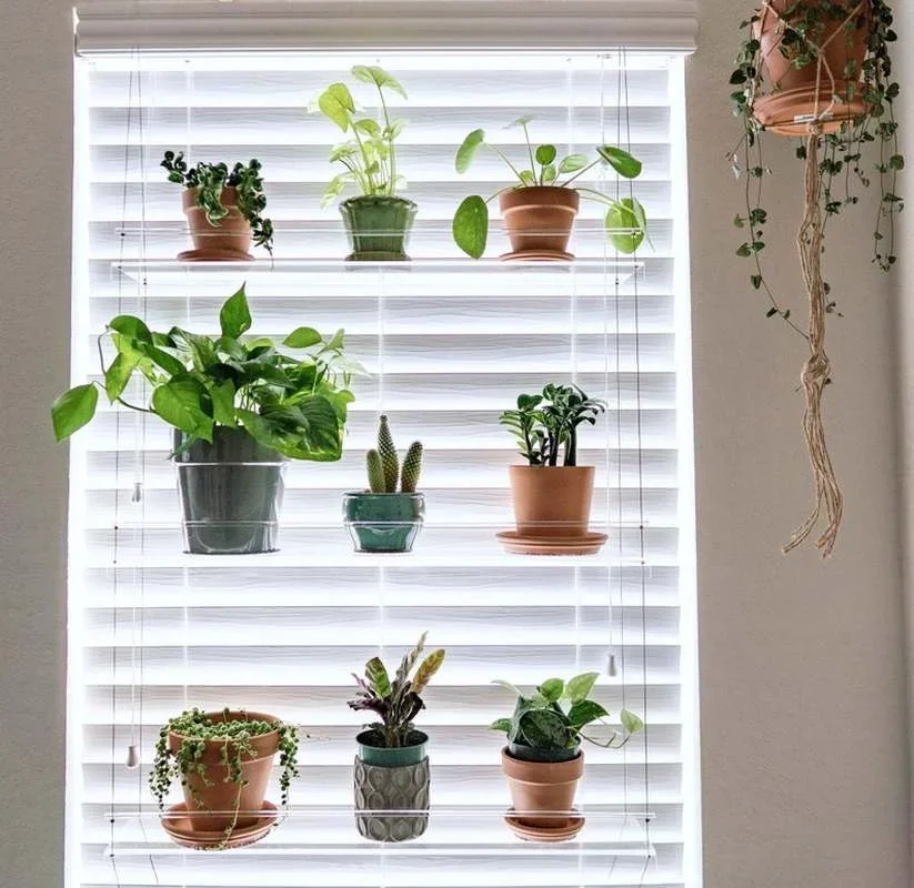 Clear Acrylic Wall Hanging Floating Window Plant Shelves Height Adjustable Shelves for Indoor Plants Succulents Photo Frames