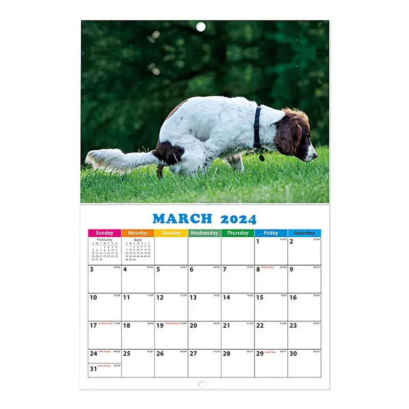 Dogs Monthly Wall Calendar Monthly Funny Hangable Calendar 11X11 Inch Open Thick & Sturdy Paper Family Planner & Daily Organizer