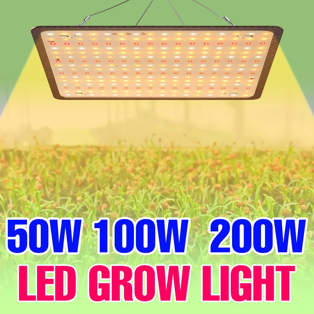 

200W LED Grow Light Full Spectrum Quantum Board Plant Fill Lamp UV/IR Greenhouse Tent Vegs Seeding Succulent Cultivation Lamps