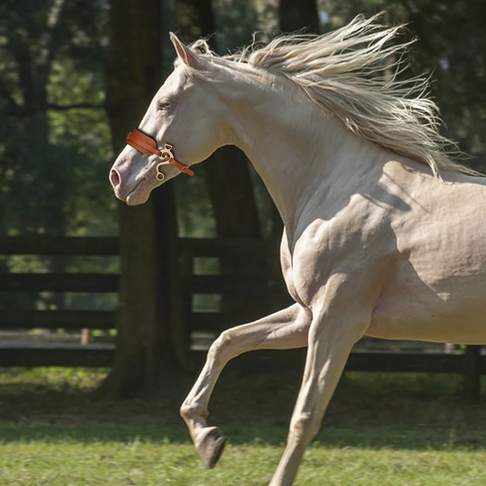 Brida de caballo de cuero acolchado marrón con banda para la nariz ajustable y cadena para acera, ideal para montar a caballo en inglés y occidental 2