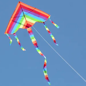 Einfach zu fliegen farbiger Regenbogen Kite Fun Outdoor Sports Beach Kinder Buhitispeelgoed Wind Comets im Freien 6 Hauptverkaufskite Cabrinha - №2