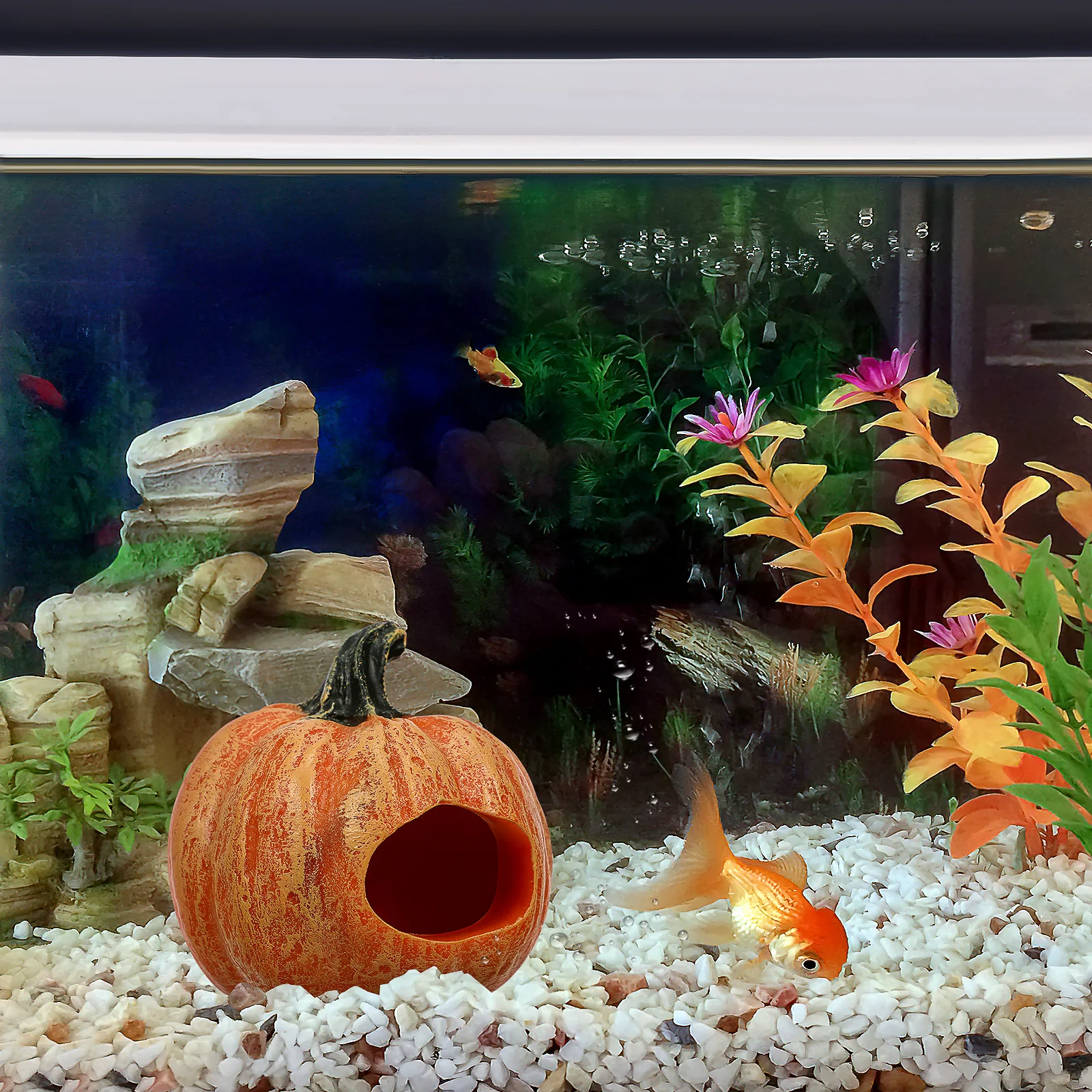 

Pumpkin Hiding for Fish Tank Resin Aquarium Habitat Decor Unique Rest Spot for Shrimp and Fish Natural Living Simulation