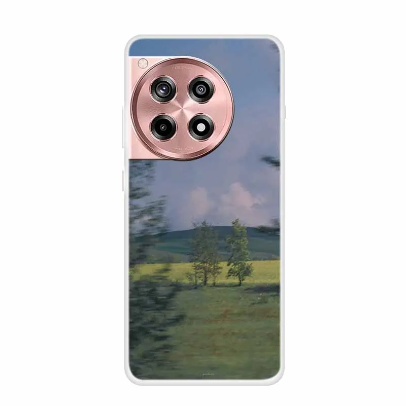 غلاف شفاف لـ OnePlus ، واقي فاخر ، غطاء هاتف من السيليكون الناعم ، لون شفاف ، Ace 3 ، 12 ، 12R #3