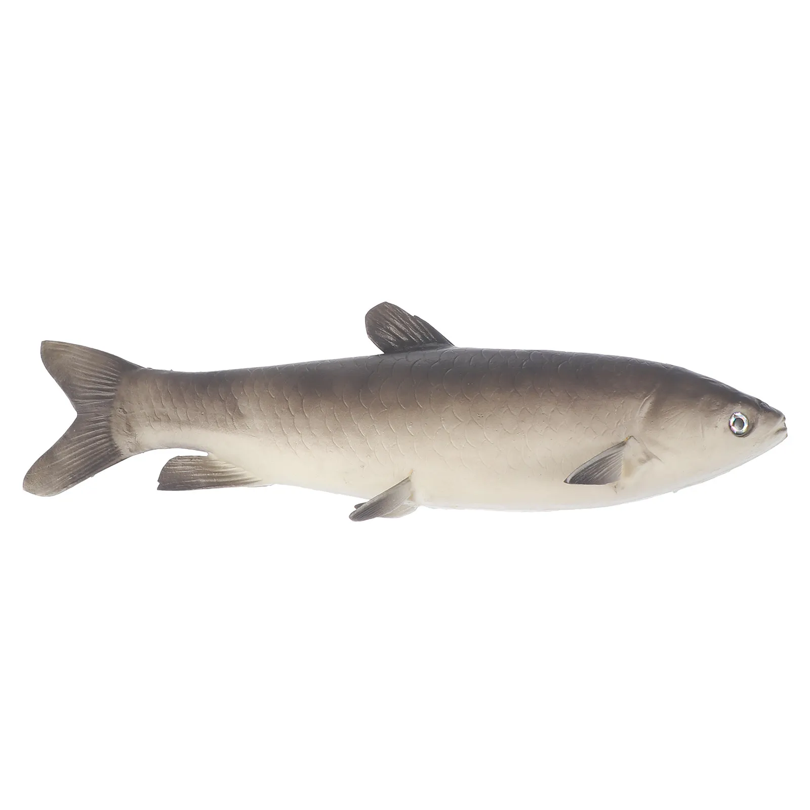 

1Pcs Simulation Fish Artificial Plaything Realistic Decoration Educational Desktop Ornament Kids Gift Artificial Fish Plaything