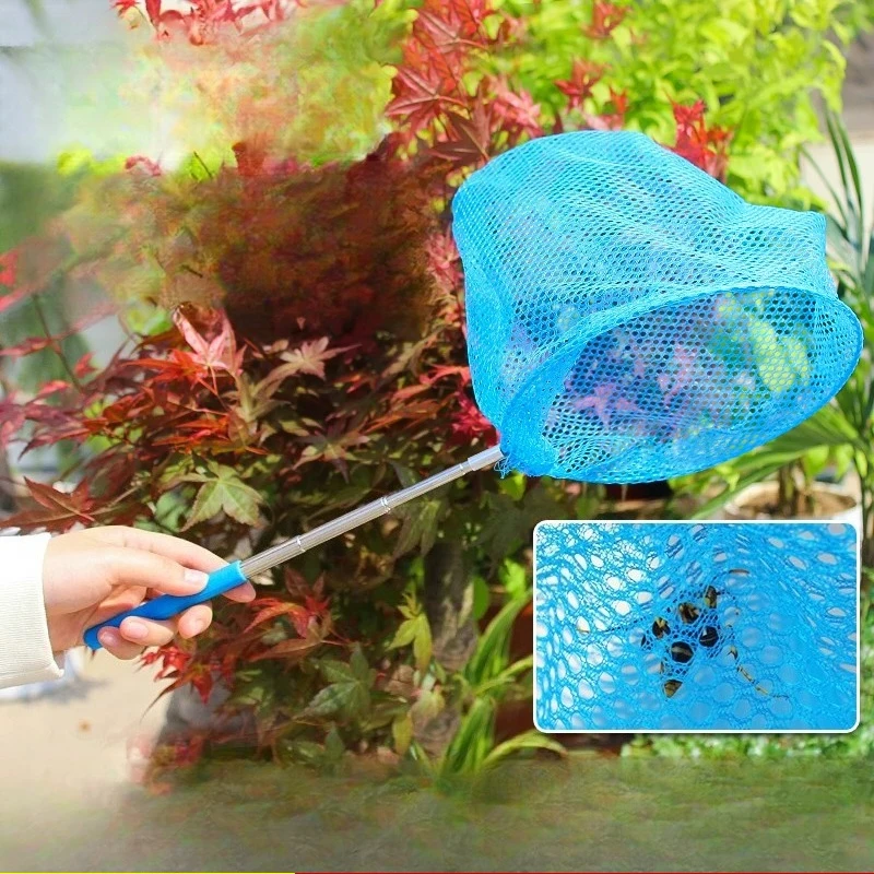 Bee catcher, wild catch wasp, special tool for bee catcher, wild bee catcher