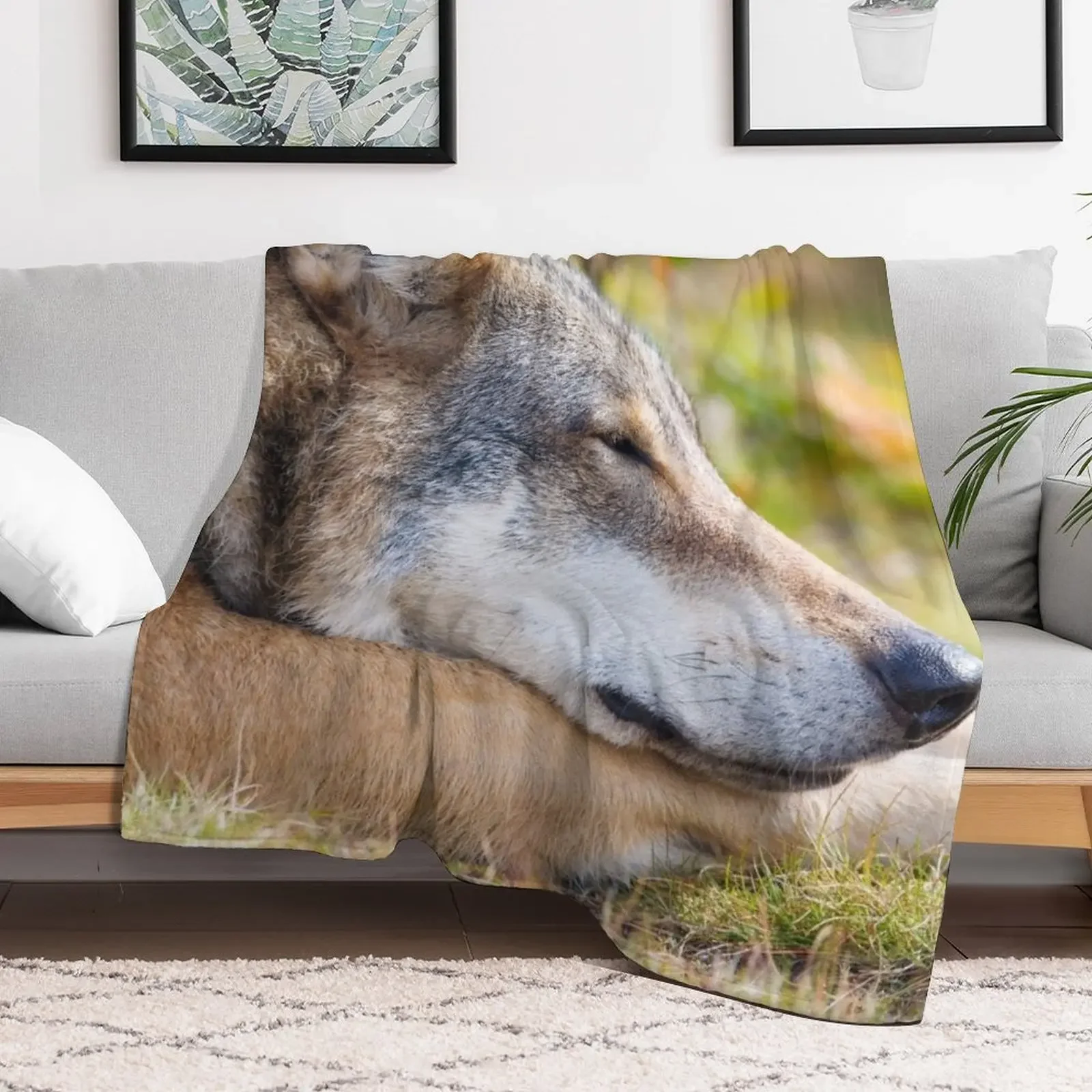Beautiful coyote wallpaper Throw Blanket Easy Care Comfortable Blanket for Couch