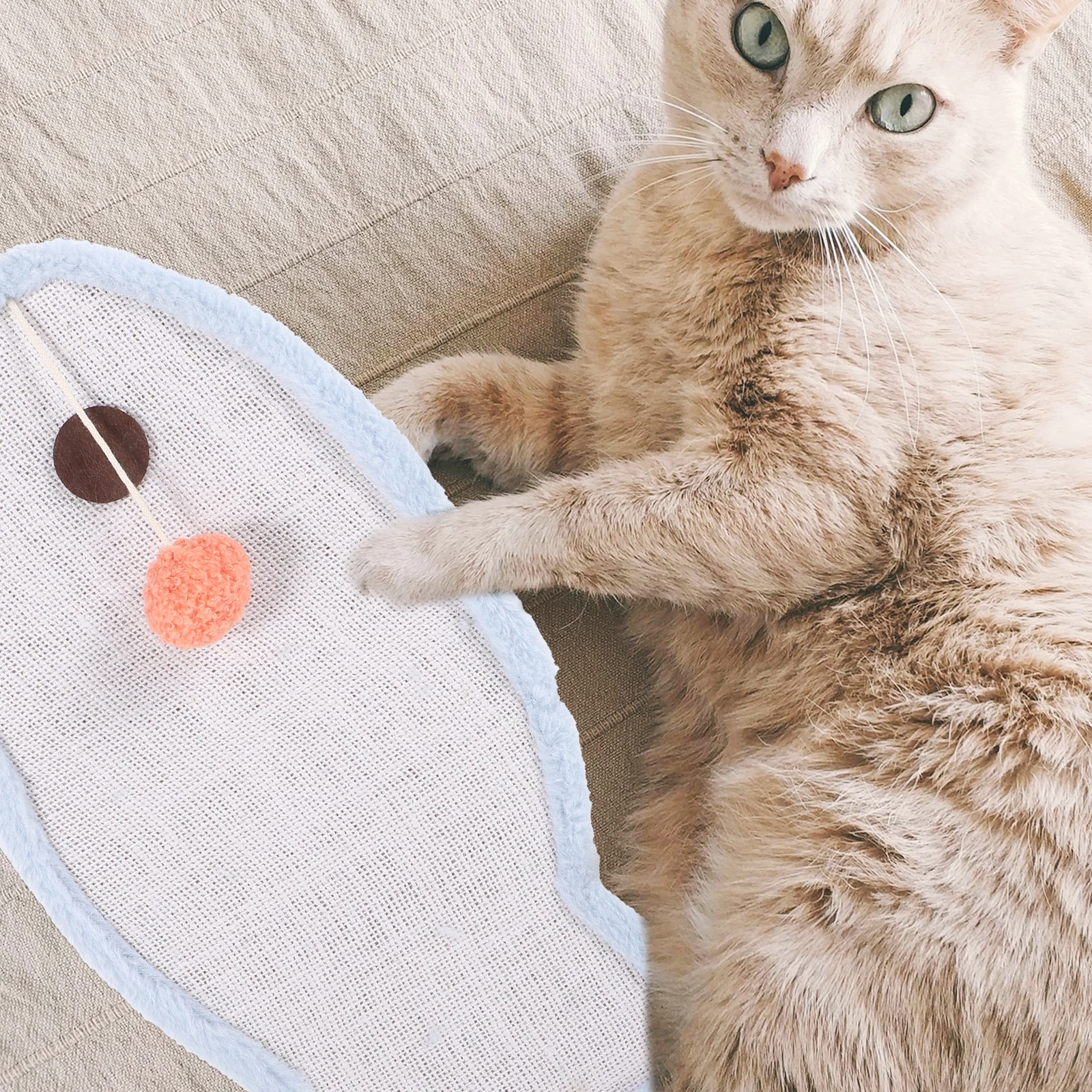 

Cat Scratching Whale Indoor Cat Pad Blue Durable Sisal Large Surface Protect Furniture Indoor Pet Supplies Kitten Toy