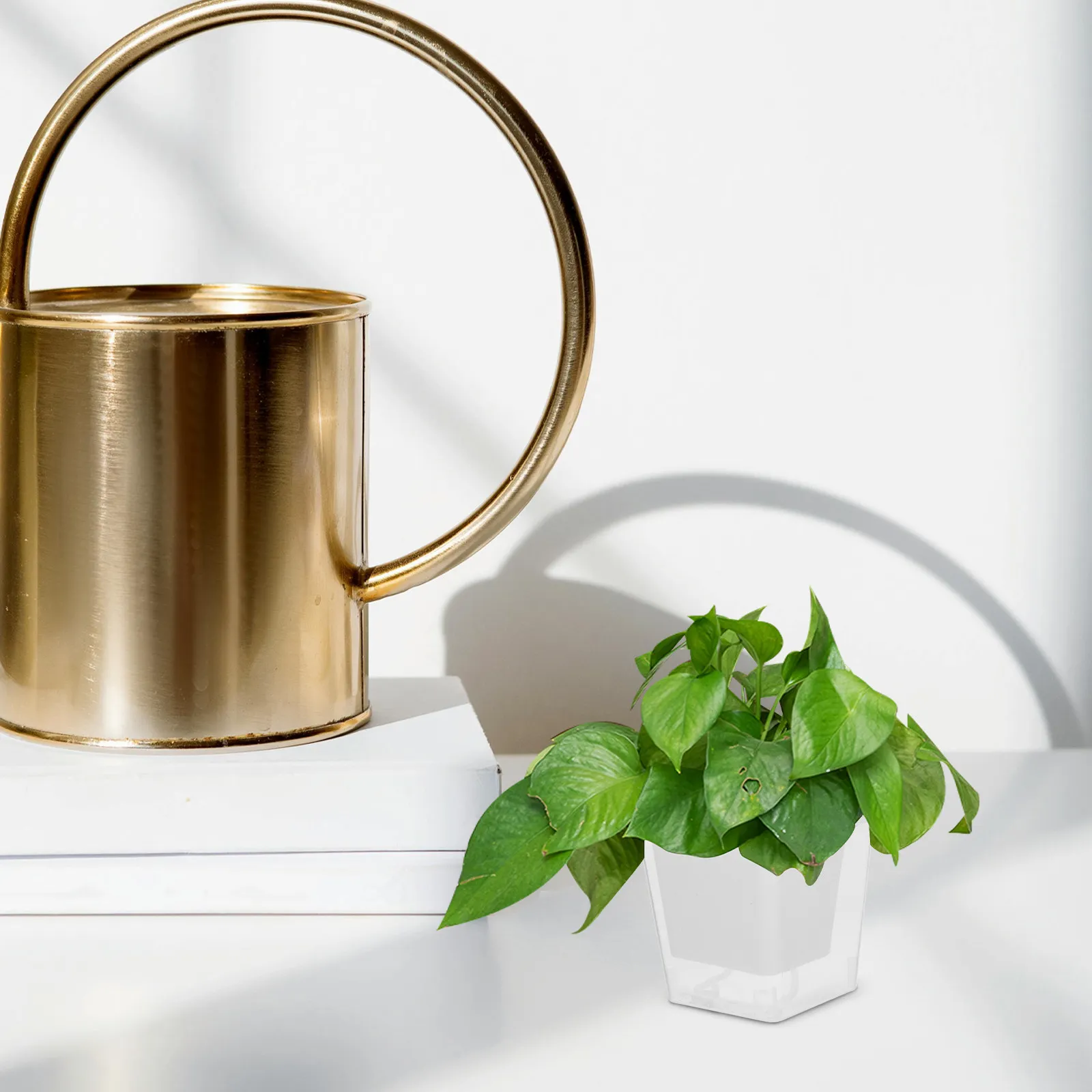 Mini Balcony Planting Pot Self-Watering Space Saving Narrow Edge Design for Indoor Outdoor Flowers Vegetables Succulents Orchids