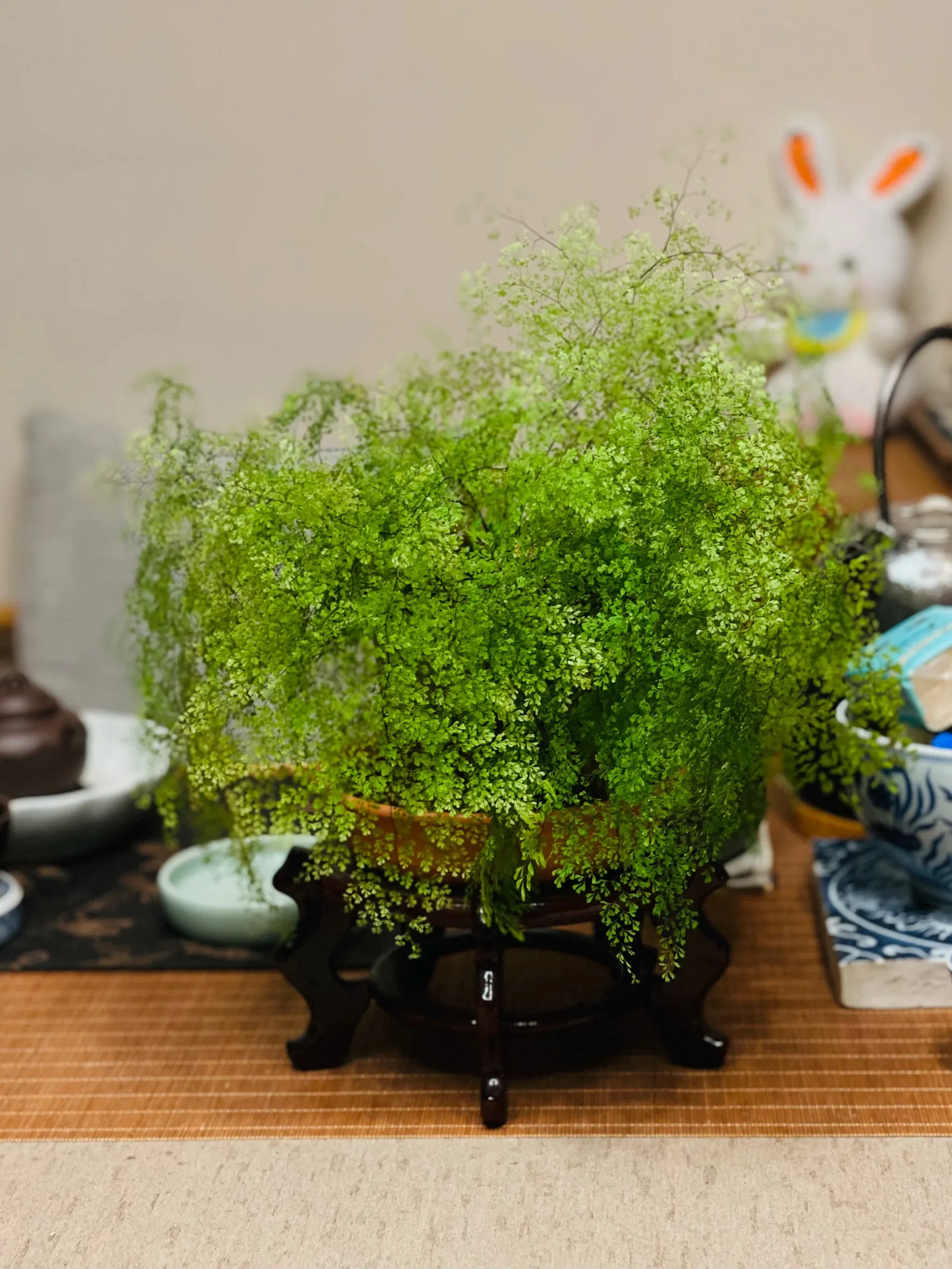 

Адаптерная пластина для впускного коллектора S2000 в стиле K24 K24A, серебристая, анодированная, для Honda S2000 F20C F22C (свап)