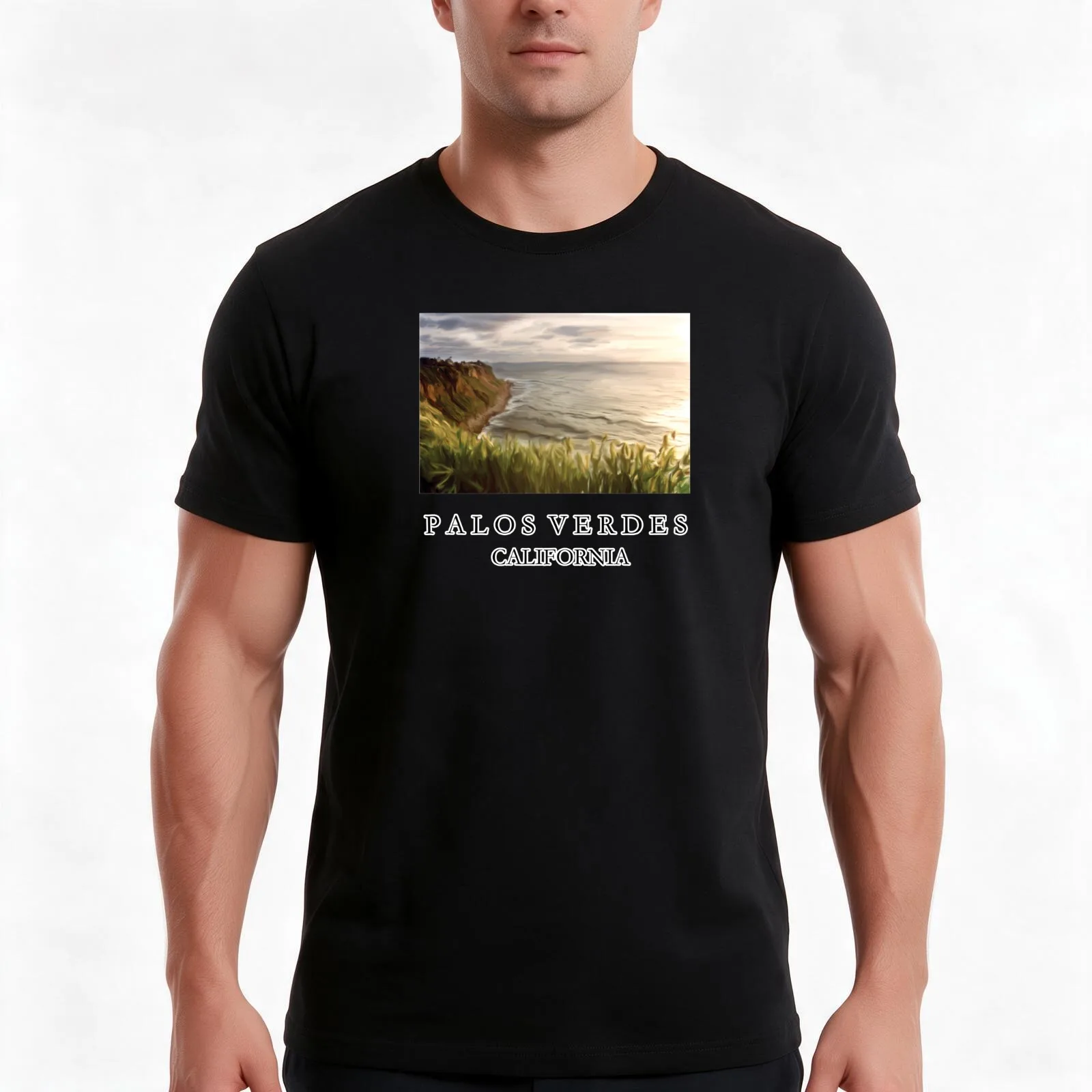 PALOS VERDES CALIFORNIA T-Shirt, Summer Casual Cotton Tee, Oversized Streetwear Tops, Vintage Graphic Print, Unisex Men Women