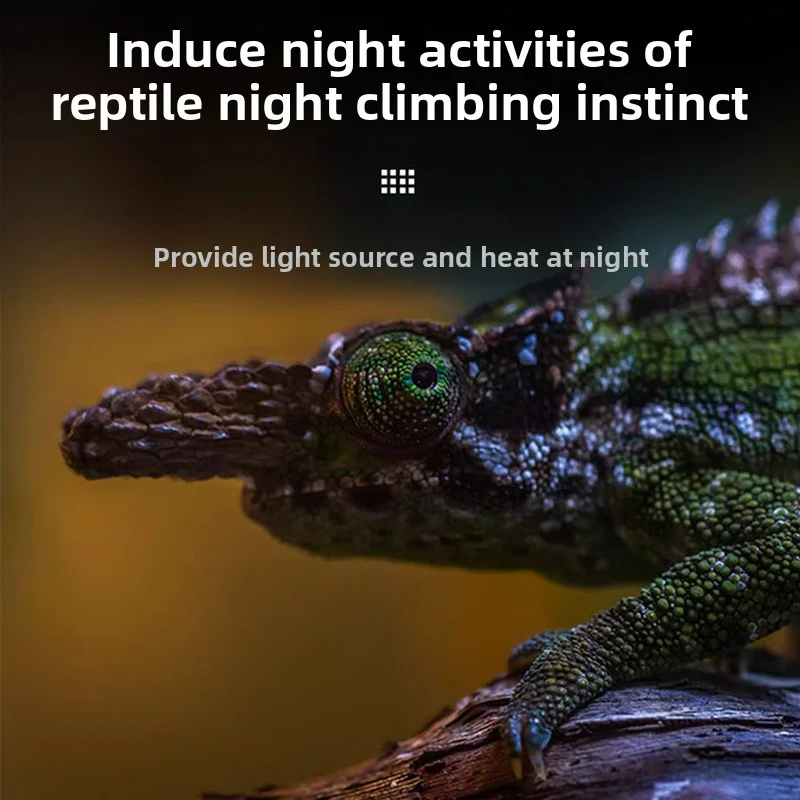 Reptile Pet Night Light Heating Lamp Chameleon Lizard Heat Simulation Natural Moonlight Reptile Tank Feeder Night Lights