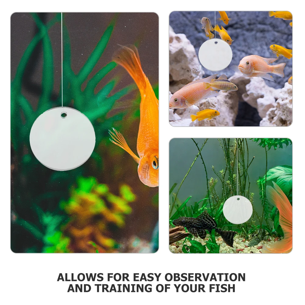 

1PCS Betta Training Mirror Dualsided Floating nament for Fish Tank Decorations Easy Cleaning Exercise Aid Transparent