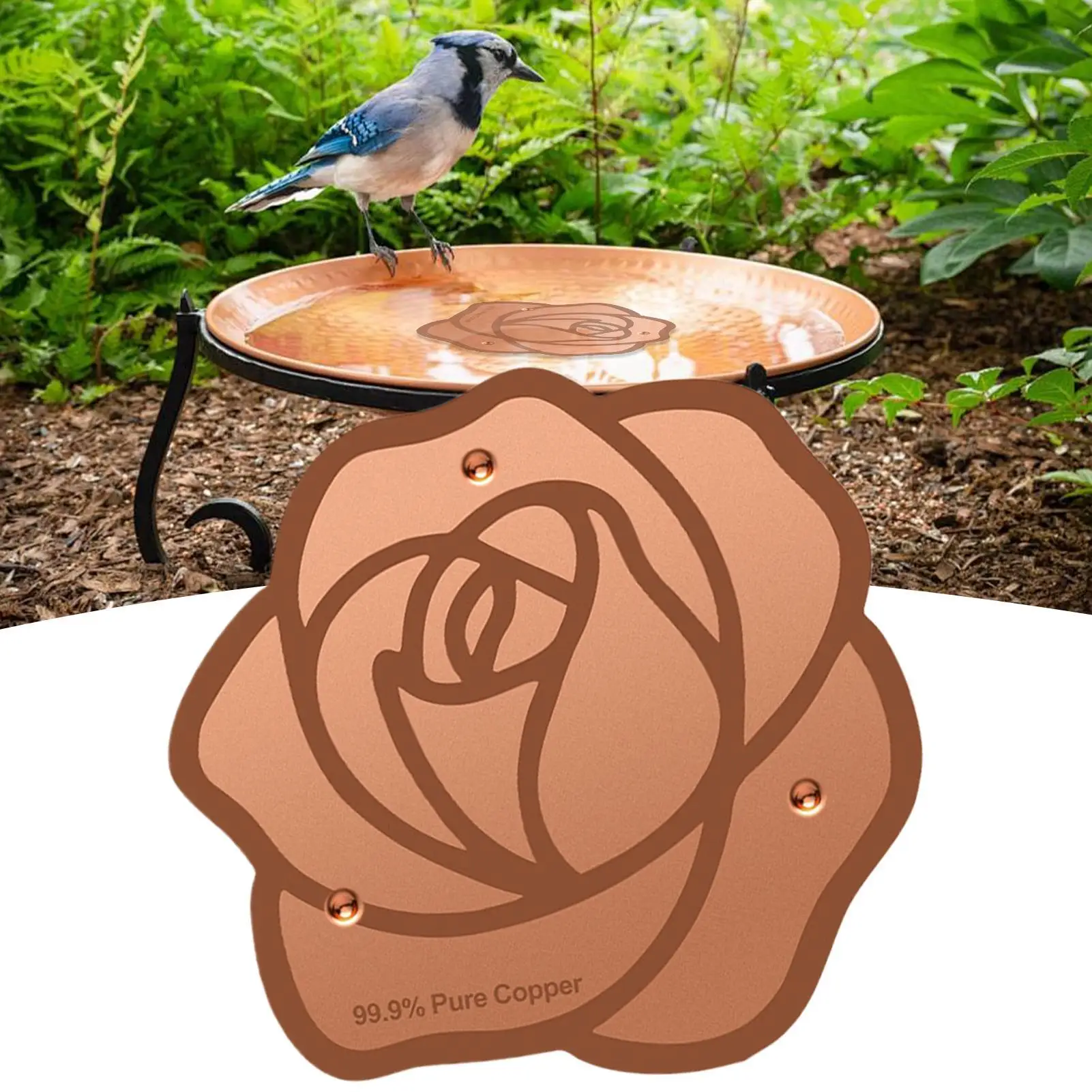 Copper Bird Bath Plate Birdbath Purification Disc with Triple-Point Support Birdbath Bowl Purifier Plate for Backyard Bird Bath
