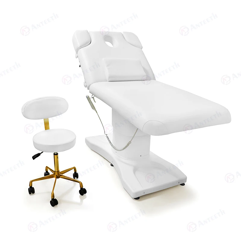 Multi-functional Spa Massage Table Chair 3 Motors Salon Equipment Stretcher Adjustable Electric Beauty Studio Facial Bed